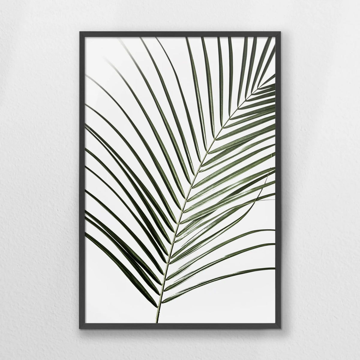 PK-062W093