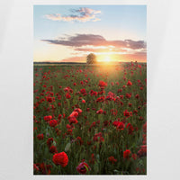 PO-080W120