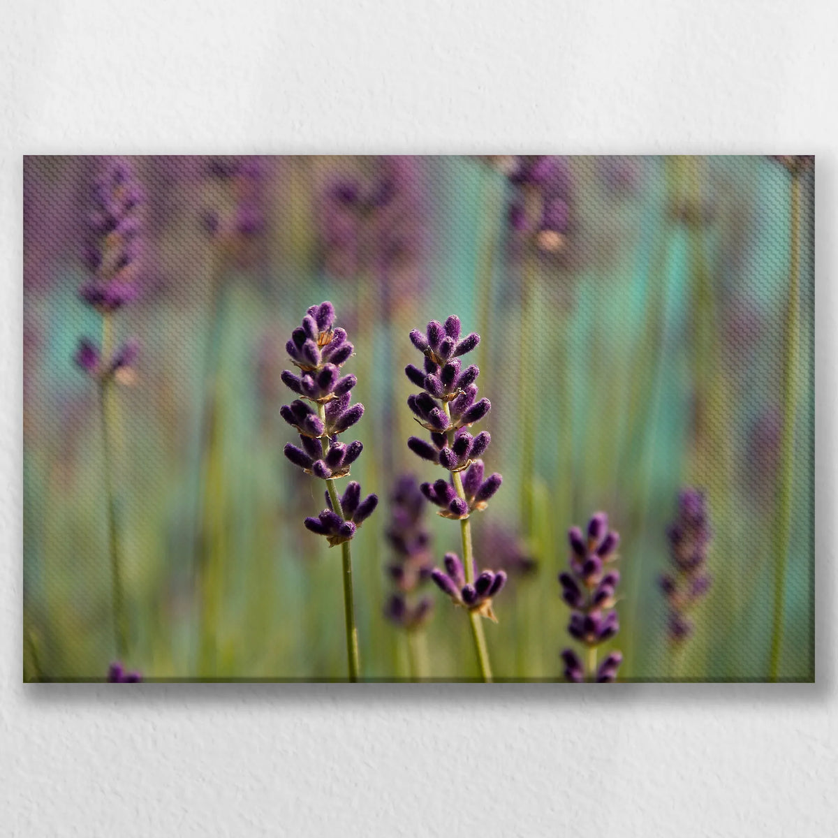 LW-030W020