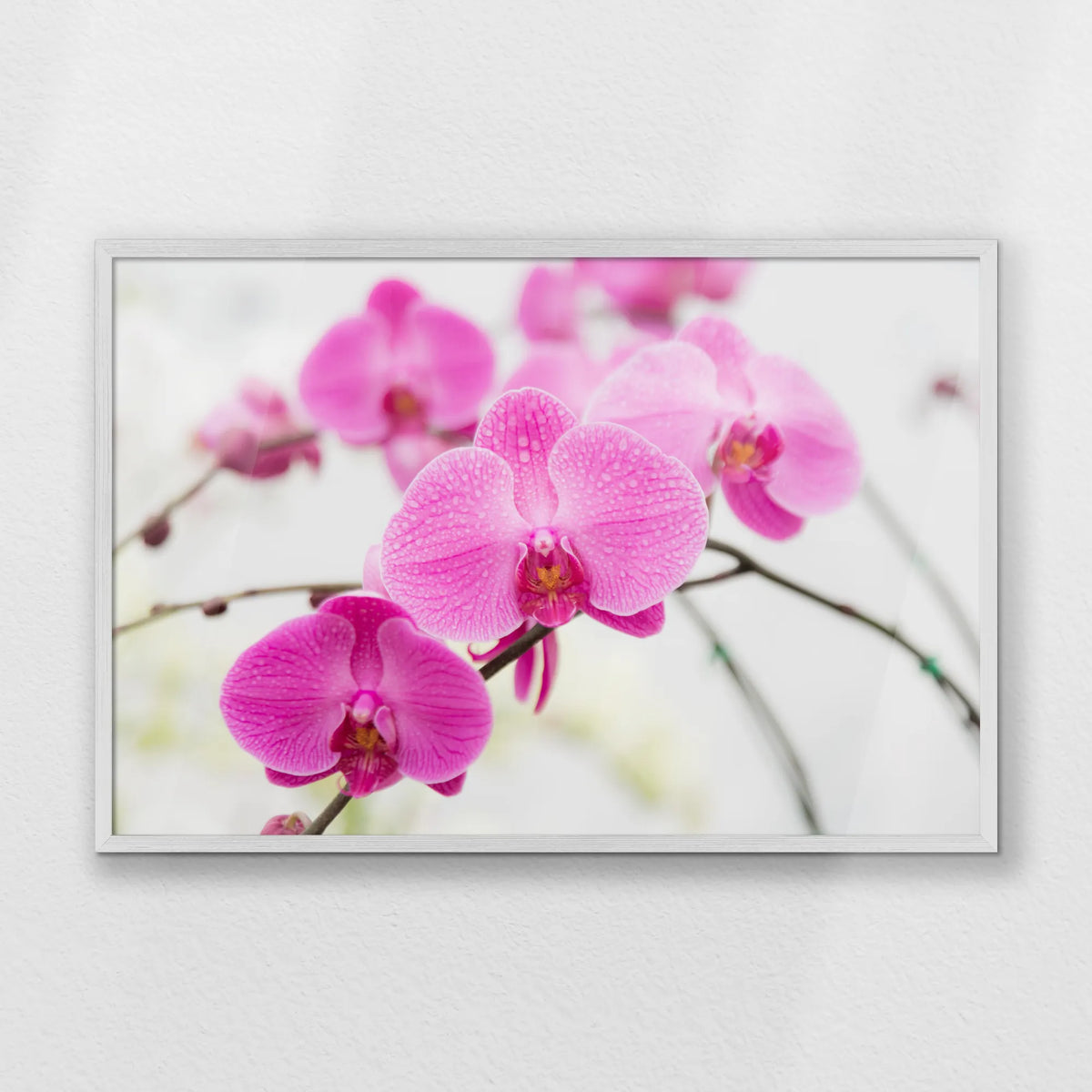PW-093W062