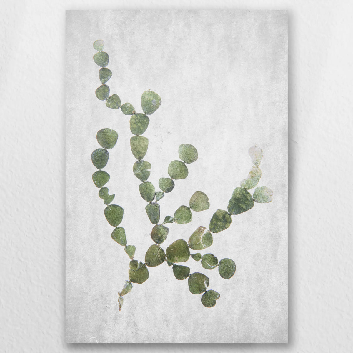 AC-030W045