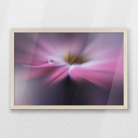 PN-060W040