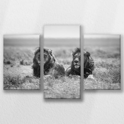 LW-060T040