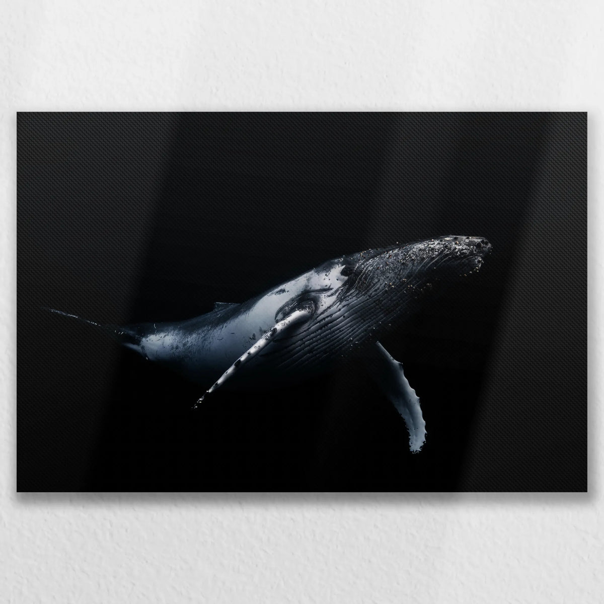 LW-075W050