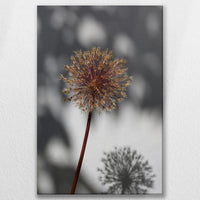 LW-080W120