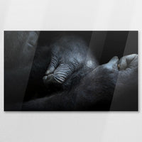 AC-075W045