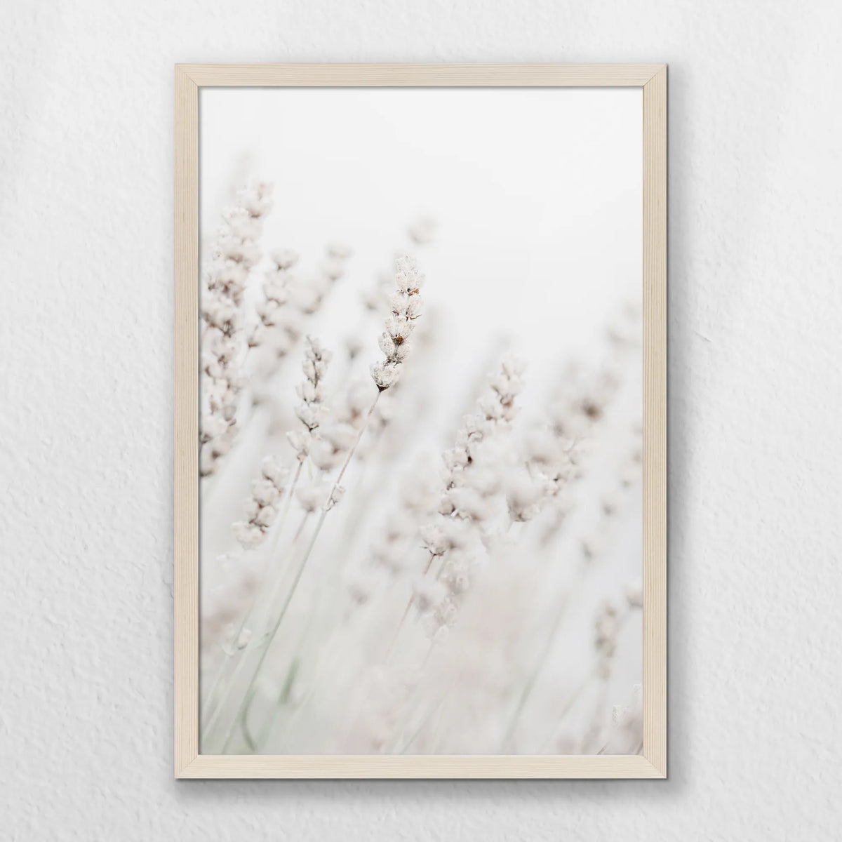 PN-040W060