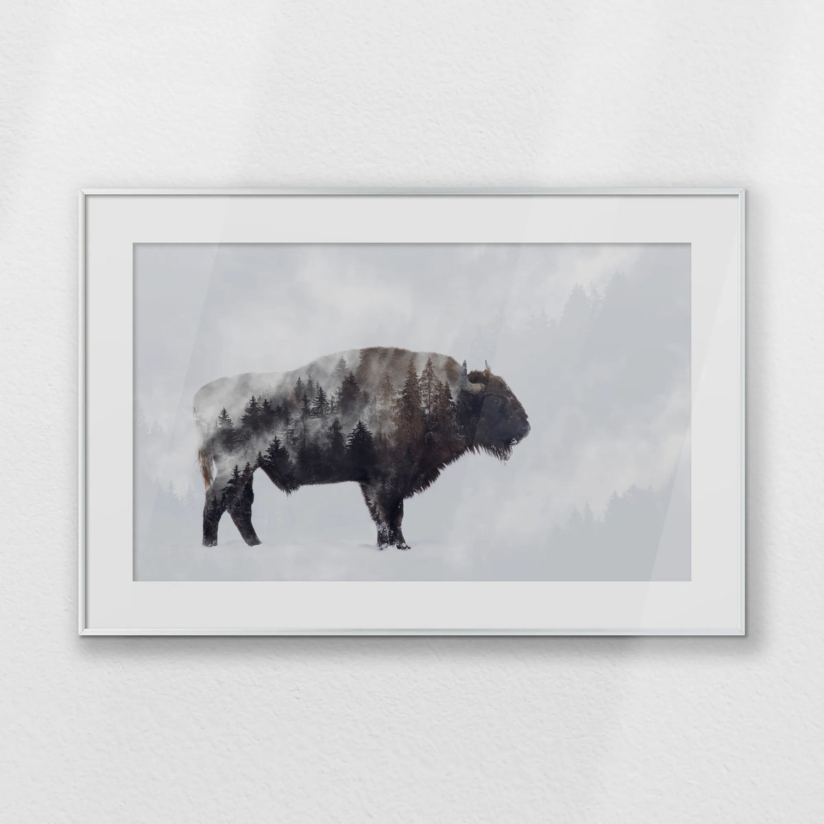PSP093W062
