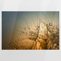 PO-120W080