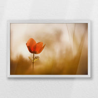 PW-060W040