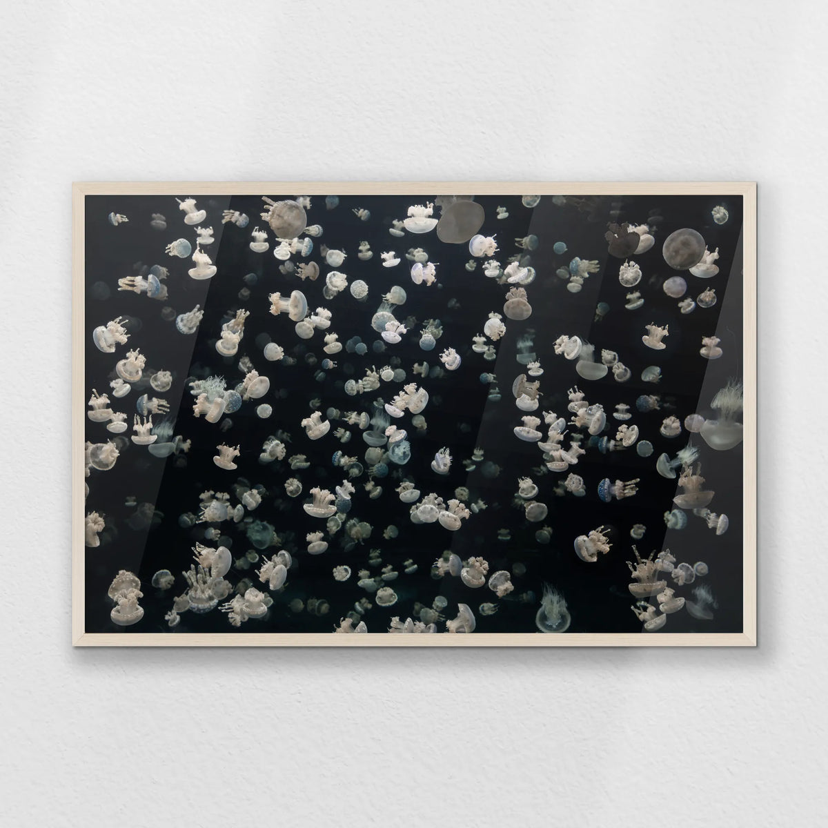 PN-093W062