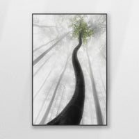 PB-080W120