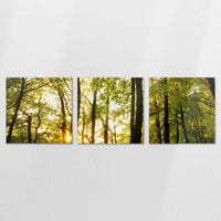 AL-210S070