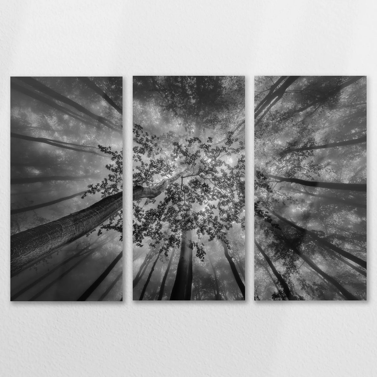 AL-150R100