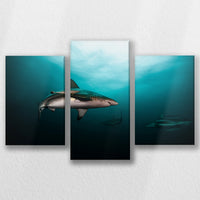 LW-060T040