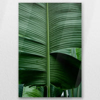 AC-050W075