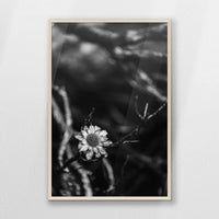 PN-062W093