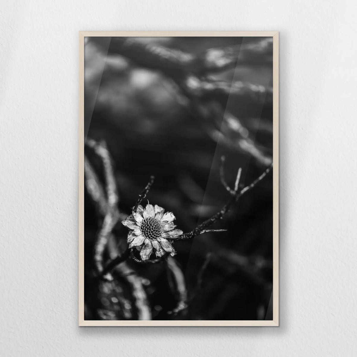 PN-062W093