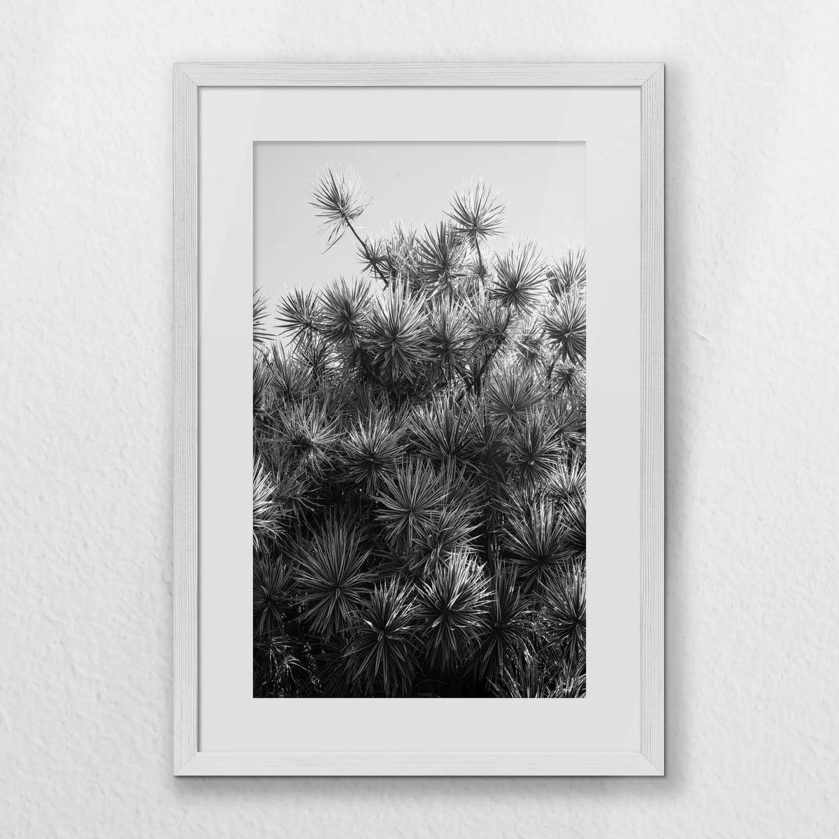 PWP040W060