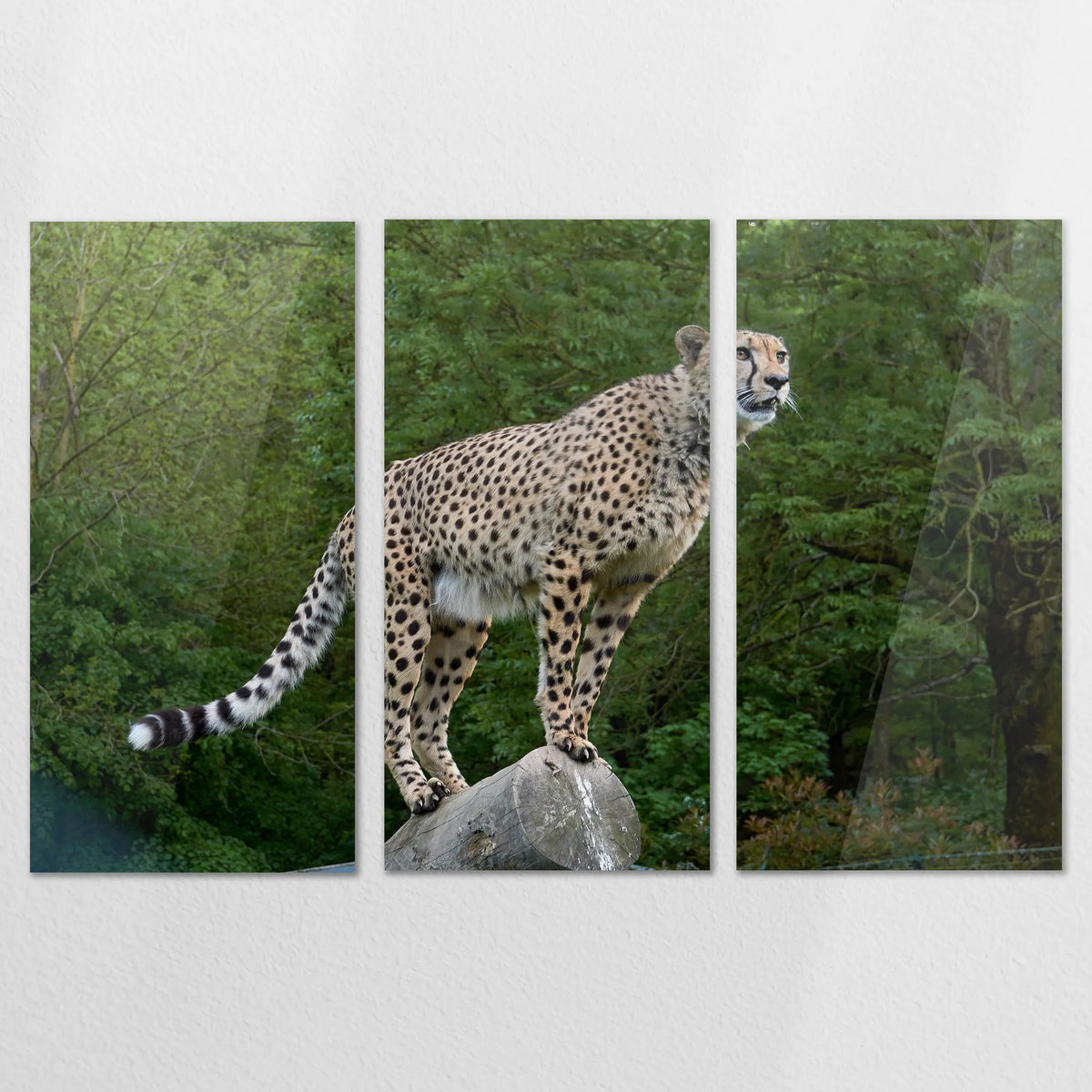 AC-180R120