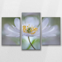 LW-090T060