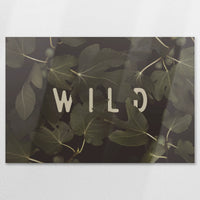 AL-120W080