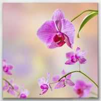 LW-090W090
