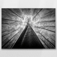 LW-100W075