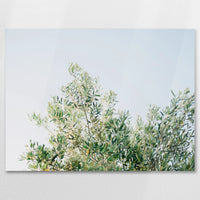 AC-080W060