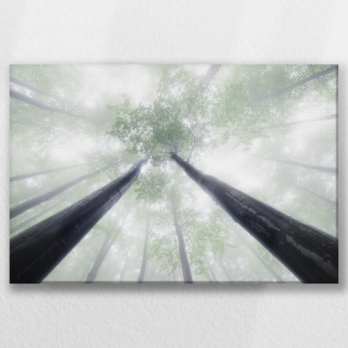 LW-030W020