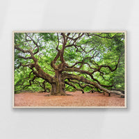 PN-100W070