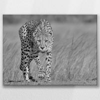 LW-060W045