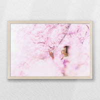 PN-060W040