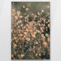 LW-080W120