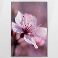 AL-060W090