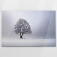 AC-075W050