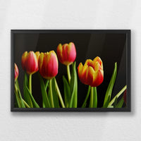 LWB060W040
