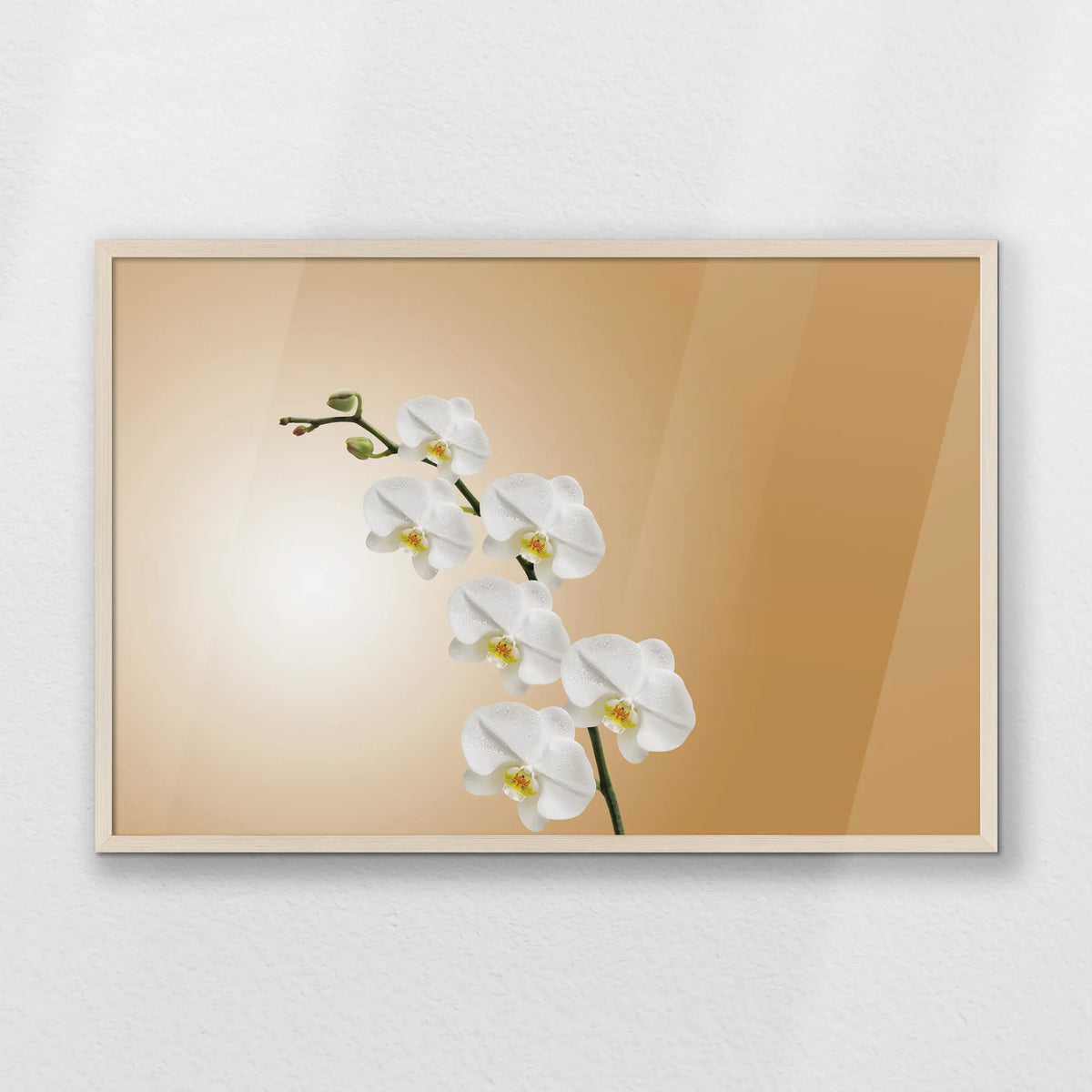 PN-093W062