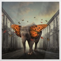 PO-080W080
