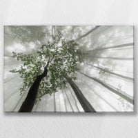 LW-060W040