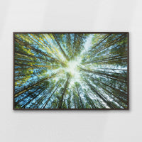 LWN120W080
