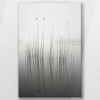 LW-050W075