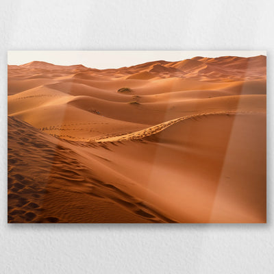 AL-030W020
