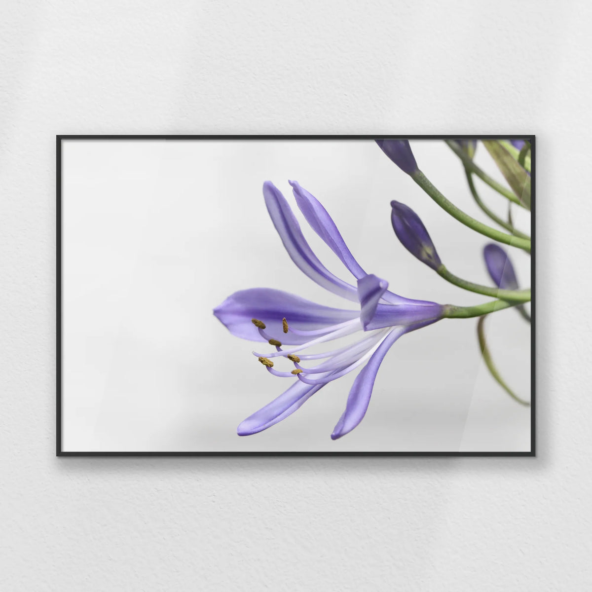PB-093W062
