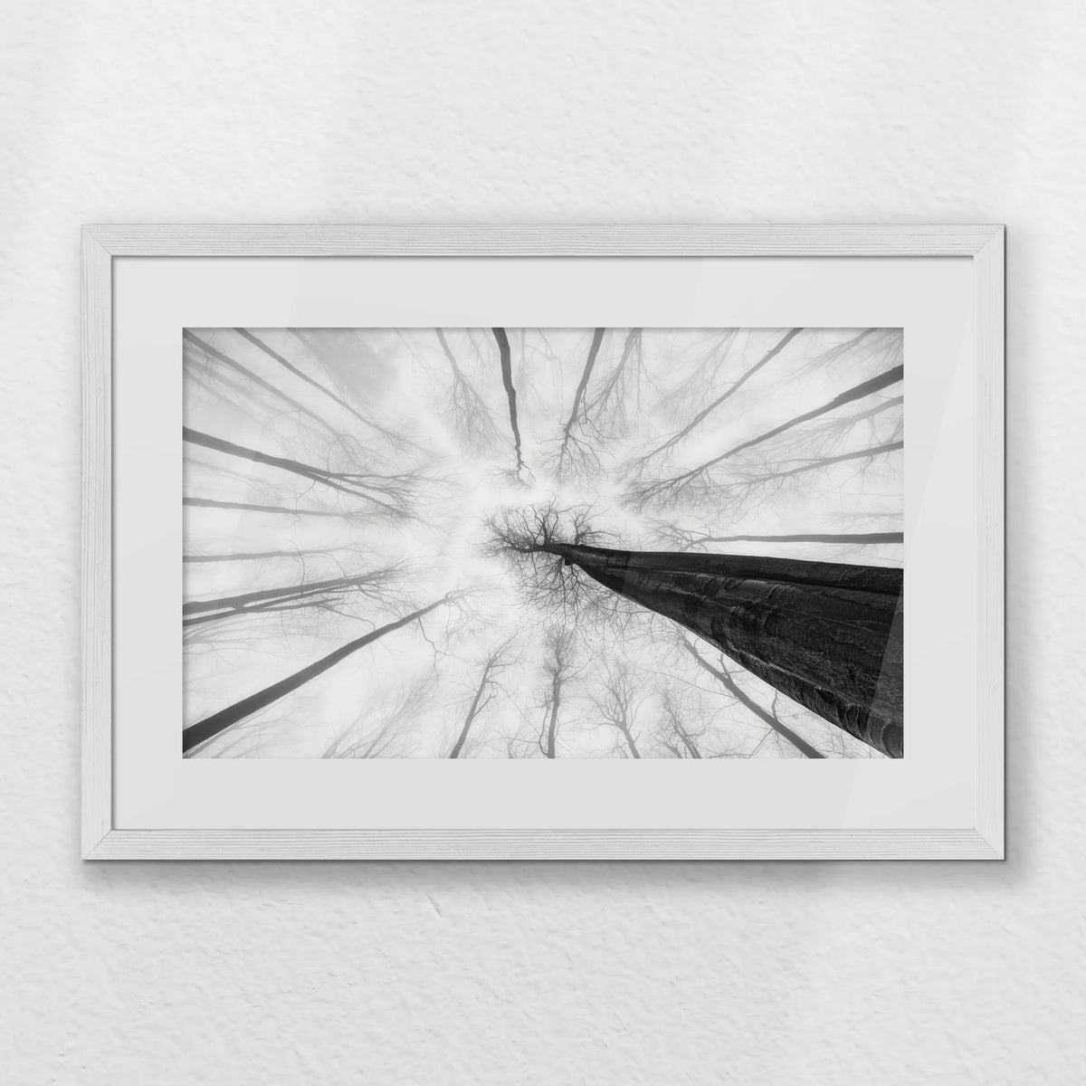 PWP060W040