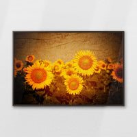 LWN120W080