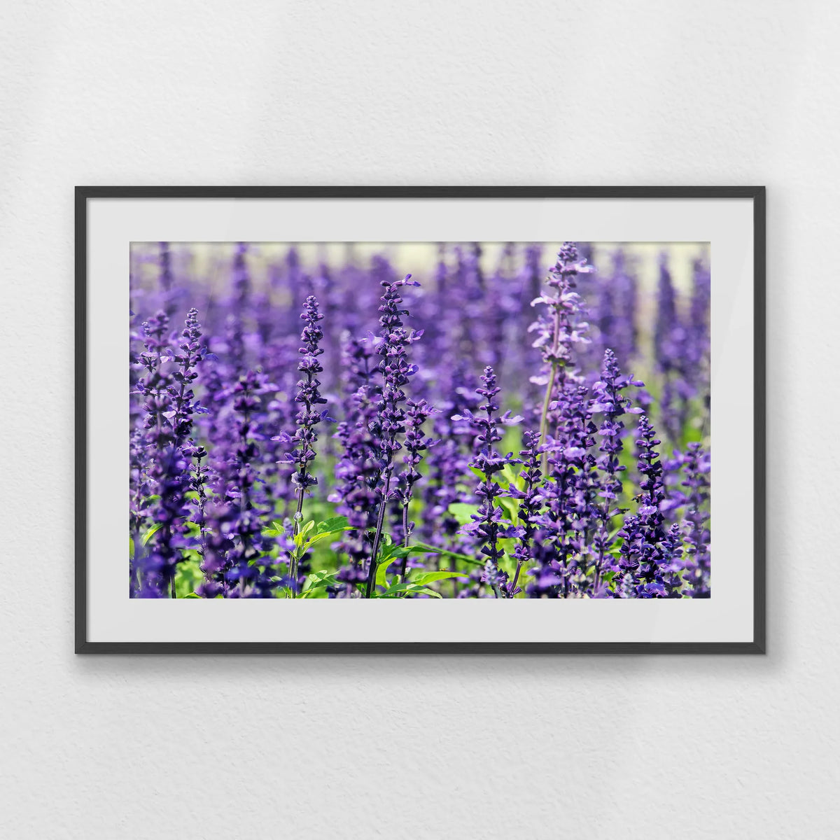 PKP100W070