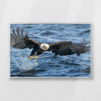PS-093W062