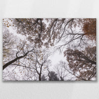 LW-075W050