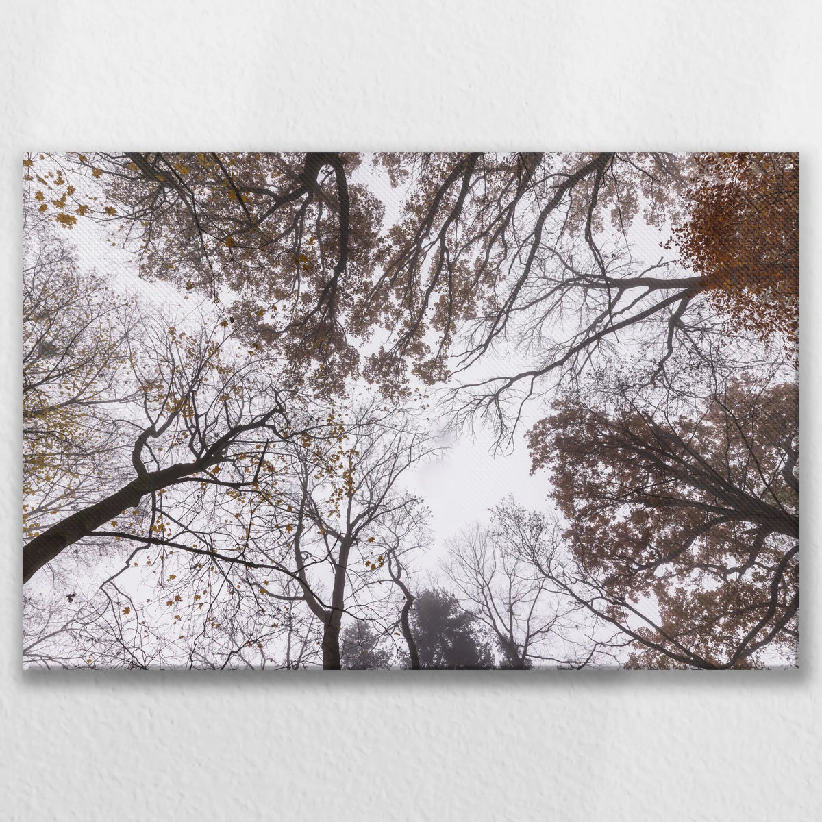 LW-075W050